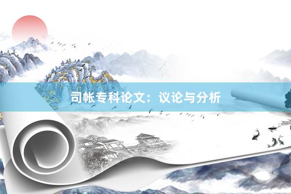 司帐专科论文:议论与分析