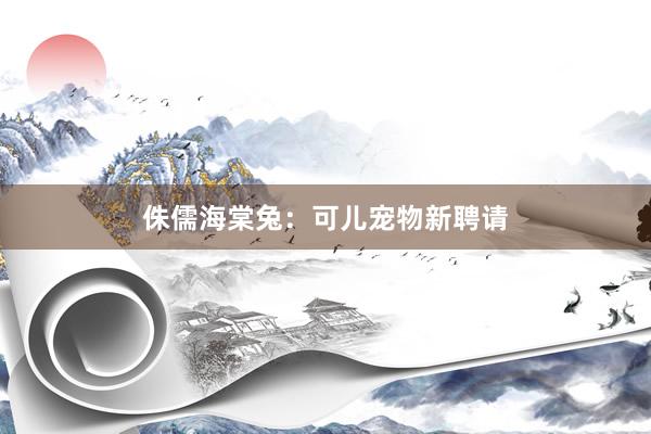 侏儒海棠兔：可儿宠物新聘请
