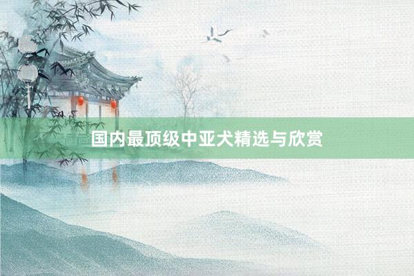 国内最顶级中亚犬精选与欣赏